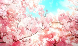 日本樱花动漫网,探寻动漫世界的浪漫樱花之旅