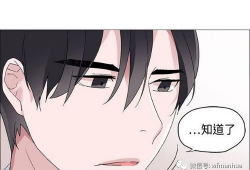 韩国黄动漫,揭秘隐秘的亚文化现象