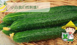 大家吃瓜网,大家吃瓜网带你领略明星幕后故事