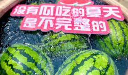 吃瓜集合网,网络舆论场中的“瓜田”盛景