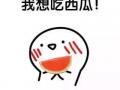 我爱吃瓜官网免费吃,我爱吃瓜官网带你开启美味之旅