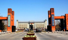 吃瓜网郑州大学,吃瓜网上的青春风采