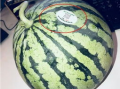 网红卞某吃瓜,揭秘网络红人的真实一面
