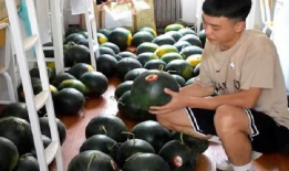 高校吃瓜网,揭秘校园热点事件，带你领略青春风采