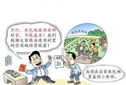 耕地漫画,漫画中的田园诗意与生活哲理