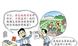 耕地漫画,漫画中的田园诗意与生活哲理